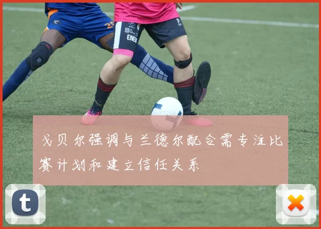 戈贝尔强调与兰德尔配合需专注比赛计划和建立信任关系