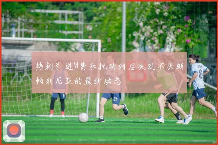 热刺引进M费和托纳利后决定不买断帕利尼亚的最新动态