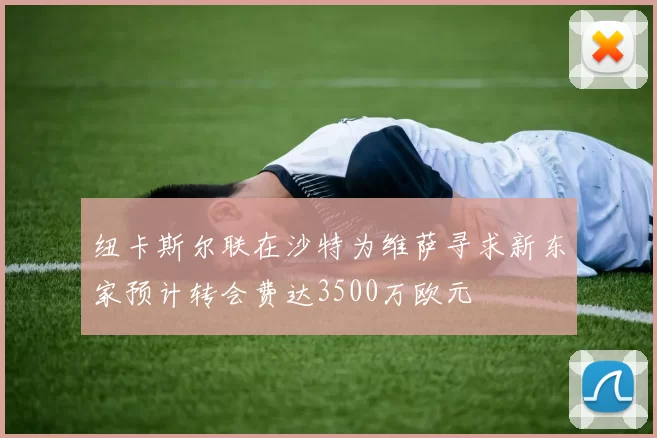 纽卡斯尔联在沙特为维萨寻求新东家预计转会费达3500万欧元