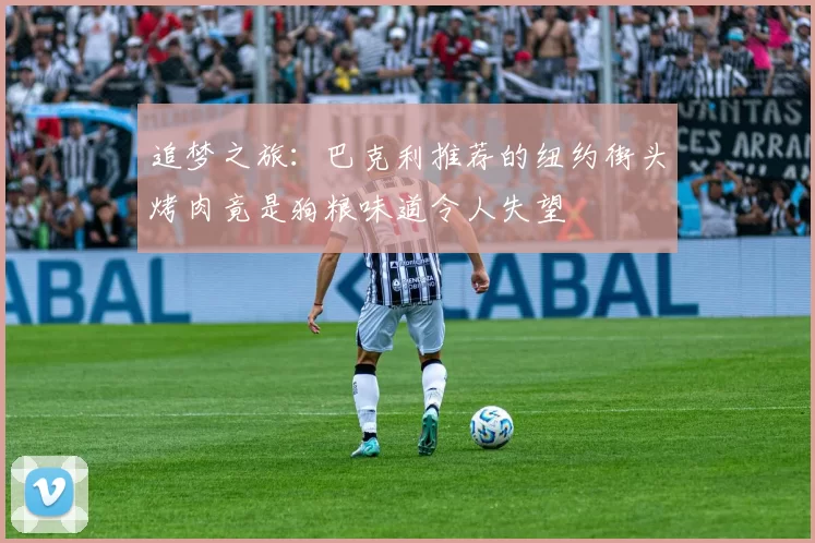 追梦之旅：巴克利推荐的纽约街头烤肉竟是狗粮味道令人失望
