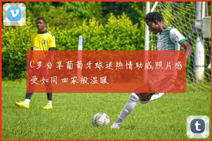 C罗分享葡萄牙球迷热情助威照片感受如同回家般温暖